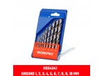 ΤΡΥΠΑΝΙΑ ΑΕΡΟΣ ΣΕΤ 10τμχ HSS-4341 WP400462 WORKPRO (PROFI) (ΚΑΡΤΕΛΑ)