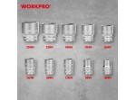 ΚΑΡΥΔΑΚΙΑ 1/2" ΣΕΤ 12τμχ WP202586 WORKPRO