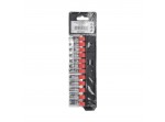ΚΑΡΥΔΑΚΙΑ 1/4" ΣΕΤ 14τμχ WP202556 WORKPRO (PROFI) (ΣΕ ΘΗΚΗ)