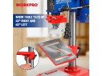 ΔΡΑΠΑΝΟ ΚΟΛΩΝΑΤΟ 350W WP483001 WORKPRO (PROFI)