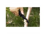 ΣΟΥΓΙΑΣ ΙΣΙΑ ΛΕΠΙΔΑ (9cm) ΤΑΧΥ ΑΝΟΙΓΜΑ ST014015 SWISS+TECH (ΚΑΡΤΕΛΑ)