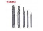 ΕΞΩΛΚΕΙΣ ΦΘΑΡΜΕΝΩΝ ΒΙΔΩΝ ΣΕΤ 5τμχ WORKPRO WP319018