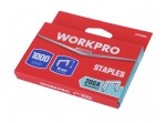ΚΑΡΦΙΑ ΔΙΧΑΛΑ τύπος T50(20GA) - 10mm (3/8") WP223008 WORKPRO (ΠΑΚΟ 1.000τμχ) (ΚΑΡΤΕΛΑ)