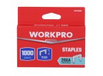 ΚΑΡΦΙΑ ΔΙΧΑΛΑ τύπος T50(20GA) - 6mm (1/4") WP223006 WORKPRO (ΠΑΚΟ 1.000τμχ) (ΚΑΡΤΕΛΑ)