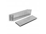 ΔΙΧΑΛΑ ΚΑΡΦΩΤΙΚΟΥ ΑΕΡΟΣ τύπος GA18 38mm WP409267 (9038J) WORKPRO (ΠΑΚΟ 2.000τμχ) (ΚΑΡΤΕΛΑ) (PROFI)