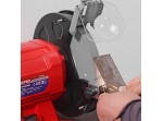 ΔΙΔΥΜΟΣ ΤΡΟΧΟΣ ΗΛΕΚΤΡΙΚΟΣ 350W (Φ 200mm) WP482001CE WORKPRO (PROFI)